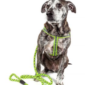 Reflective Stitched Easy Tension Adjustable 2-in-1 Dog Leash and Harness (size: medium)